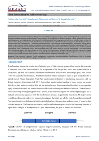 Middle East Journal of Applied Science & Technology (MEJAST)
(Peer Reviewed International Journal) Volume 2, Issue 3, Pages 103-123, July-September 2019
103 | P a g e ISSN (Online): 2582- 0974 Website: www.mejast.com
Plant Transformation in Biotechnology
Gulshan Atiq1
, Nasrullah1
, Sonia kanwal1
, Muhammad Asif Raheem1
& Rana Khalid Iqbal*1
1
*Institute of Molecular Biology & Biotechnology, Bahauddin Zakariya University, Multan-60800, Pakistan.
Article Received: 21 February 2019 Article Accepted: 15 July 2019 Article Published: 30 August 2019
INTRODUCTION
Transformation states to the introduction of a foreign gene of choice into the genome of the plant to the generation
of transgenic plant. Plant transformation is the incorporation of the foreign DNA into a plant genome (nuclear or
cytoplasmic). (Wilson and Coverley 2017) Plant transformation involves three phases target gene, Plant tissues,
vector for successful transformation. Plant transformation offers a momentous means to gain desire character or
trait of interest. (García-Sogo et al. 2012) Plant transformation technology is familiarizing many crops with our
desired characters. (Nanjundan et al. 2017) Due to plant transformation, breeding of plants occurs, and genetic
diversity of plant products with beneficial and our desire character. From conventional breeding, we try to produce
highly beneficial character and remove the undesirable character from plants. (Zhuoya Chen et al. 2018) It is also a
source of creating diverse genotypes within a species, to develop various genes for beneficial phenotypes, and to
eradicate unnecessary sequences from the transformation process. As genetically modified (GM) crops become
available, produces and used so it is necessary to safeguard that plants are safe for food, feed, and environmental.
Plant transformation methods depend on the method of delivery, incorporation, and expression of genes in plant
cells (D. Wang et al. 2017) and nucleus. For successful transfer of desire gene, we need the regulatory sequence of
a gene which take part in the expression of a gene, like Promotor, the gene of interest and terminator.
Figure1: Structure of complementary sequence required promoter, transgene with the desired character,
Terminator and antibody as a selection marker. (Olieric et al. 2010)
ABSTRACT
Plant transformation permits the introduction of the gene of interest for producing novel transgenic plants. "When a gene from one species is moved
or relocated to another species by using recombinant DNA technology are called genetically modified organisms. Genetic engineering is one way to
modify the plants by selecting for desired traits. Genetically modified organisms have foreign genes derive from not only plant source but also from
bacteria, viruses, fungi, insects and animals. Transformation is the introduction and addition of the desired gene in plant for the generation of
transgenic plant. Plant transformation is a challenging process for scientists. DNA transfer by artificial methods like DNA transfer through physical
method is micro-injection, biolistic or gene gun methods, electroporation, silica carbide, microinjection, lipofection, microinjection. DNA also
transfers by chemical methods. In natural method like in biological method, Agrobacterium-mediated transfer, Rhizobium, virus-mediated and planta
transformation. Plant transformation involves three phases target gene, Plant tissues, vector for successful transformation. Plant transformation
offers a momentous means to gain desire character or trait of interest. Plant transformation technique benefit agriculturalists to grow more crops in
less area of land. And give more yield at less cost consumption. Plant transformation technology is familiarizing many crops with our desired
characters. This review explains the natural method of plant transformation and benefits of transgenic plant.
Keywords: Gene expression, Transgenic, Particle bombardment, Agrobacterium tumefaciens-mediated Transformation, Origin of replication,
Genetic engineering, Electro transformation, Hygromycin, Transgenic Crops.
 