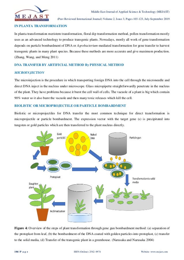 Plant Transformation in Biotechnology