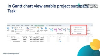 In Gantt chart view enable project summary
Task
 