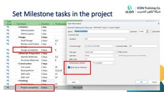 Set Milestone tasks in the project
 