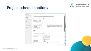 Project schedule options
 