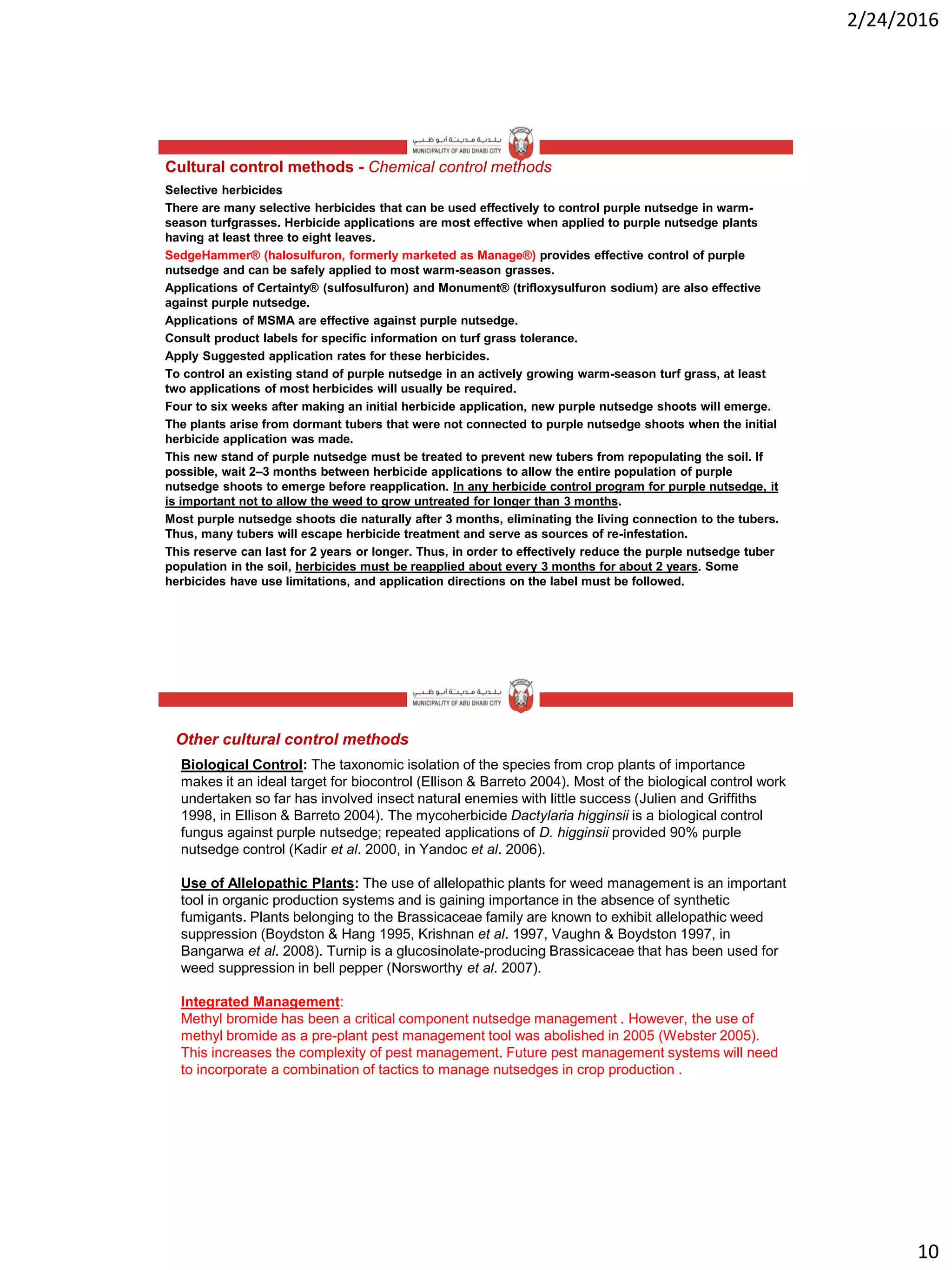 2/24/2016
10
Cultural control methods - Chemical control methods
Selective herbicides
There are many selective herbicides that can be used effectively to control purple nutsedge in warm-
season turfgrasses. Herbicide applications are most effective when applied to purple nutsedge plants
having at least three to eight leaves.
SedgeHammer® (halosulfuron, formerly marketed as Manage®) provides effective control of purple
nutsedge and can be safely applied to most warm-season grasses.
Applications of Certainty® (sulfosulfuron) and Monument® (trifloxysulfuron sodium) are also effective
against purple nutsedge.
Applications of MSMA are effective against purple nutsedge.
Consult product labels for specific information on turf grass tolerance.
Apply Suggested application rates for these herbicides.
To control an existing stand of purple nutsedge in an actively growing warm-season turf grass, at least
two applications of most herbicides will usually be required.
Four to six weeks after making an initial herbicide application, new purple nutsedge shoots will emerge.
The plants arise from dormant tubers that were not connected to purple nutsedge shoots when the initial
herbicide application was made.
This new stand of purple nutsedge must be treated to prevent new tubers from repopulating the soil. If
possible, wait 2–3 months between herbicide applications to allow the entire population of purple
nutsedge shoots to emerge before reapplication. In any herbicide control program for purple nutsedge, it
is important not to allow the weed to grow untreated for longer than 3 months.
Most purple nutsedge shoots die naturally after 3 months, eliminating the living connection to the tubers.
Thus, many tubers will escape herbicide treatment and serve as sources of re-infestation.
This reserve can last for 2 years or longer. Thus, in order to effectively reduce the purple nutsedge tuber
population in the soil, herbicides must be reapplied about every 3 months for about 2 years. Some
herbicides have use limitations, and application directions on the label must be followed.
Biological Control: The taxonomic isolation of the species from crop plants of importance
makes it an ideal target for biocontrol (Ellison & Barreto 2004). Most of the biological control work
undertaken so far has involved insect natural enemies with little success (Julien and Griffiths
1998, in Ellison & Barreto 2004). The mycoherbicide Dactylaria higginsii is a biological control
fungus against purple nutsedge; repeated applications of D. higginsii provided 90% purple
nutsedge control (Kadir et al. 2000, in Yandoc et al. 2006).
Use of Allelopathic Plants: The use of allelopathic plants for weed management is an important
tool in organic production systems and is gaining importance in the absence of synthetic
fumigants. Plants belonging to the Brassicaceae family are known to exhibit allelopathic weed
suppression (Boydston & Hang 1995, Krishnan et al. 1997, Vaughn & Boydston 1997, in
Bangarwa et al. 2008). Turnip is a glucosinolate-producing Brassicaceae that has been used for
weed suppression in bell pepper (Norsworthy et al. 2007).
Integrated Management:
Methyl bromide has been a critical component nutsedge management . However, the use of
methyl bromide as a pre-plant pest management tool was abolished in 2005 (Webster 2005).
This increases the complexity of pest management. Future pest management systems will need
to incorporate a combination of tactics to manage nutsedges in crop production .
Other cultural control methods
 