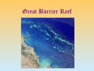 Great Barrier Reef
 