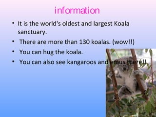 information
• It is the world's oldest and largest Koala
  sanctuary.
• There are more than 130 koalas. (wow!!)
• You can hug the koala.
• You can also see kangaroos and emus there!!
 