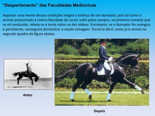 Aquietar uma mente dessas condições exigirá o esforço de um domador, pois tal como o
animal acostumado à inteira liberdade de correr solto pelos campos, no primeiro instante que
se vê conduzido, rebela-se e tenta soltar-se das rédeas. Entretanto, se o domador for enérgico
e persistente, conseguirá domesticar o cavalo selvagem. Torná-lo dócil, como já o vemos no
segundo quadro da figura abaixo.
“Despertamento” das Faculdades Mediúnicas
Antes
Depois
 