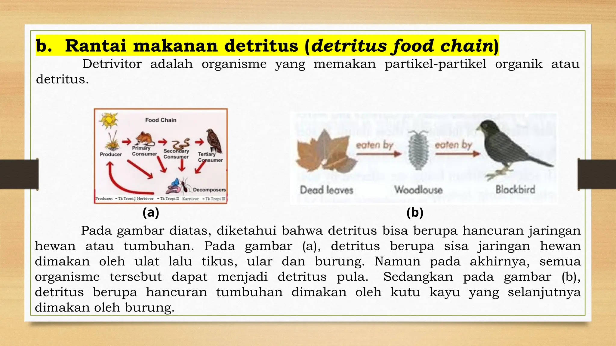 Ulat Rantai 702473657-Ppt-Ekosistem-Rantai-Dan-Jaring-jaring-Makanan.pptx
