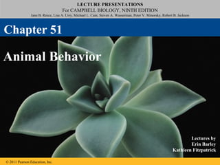LECTURE PRESENTATIONS
For CAMPBELL BIOLOGY, NINTH EDITION
Jane B. Reece, Lisa A. Urry, Michael L. Cain, Steven A. Wasserman, Peter V. Minorsky, Robert B. Jackson
© 2011 Pearson Education, Inc.
Lectures by
Erin Barley
Kathleen Fitzpatrick
Animal Behavior
Chapter 51
 