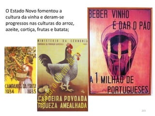 Módulo 7, História A 215
O Estado Novo fomentou a
cultura da vinha e deram-se
progressos nas culturas do arroz,
azeite, cortiça, frutas e batata;
 