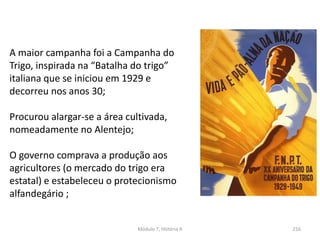 Módulo 7, História A 216
A maior campanha foi a Campanha do
Trigo, inspirada na “Batalha do trigo”
italiana que se iniciou em 1929 e
decorreu nos anos 30;
Procurou alargar-se a área cultivada,
nomeadamente no Alentejo;
O governo comprava a produção aos
agricultores (o mercado do trigo era
estatal) e estabeleceu o protecionismo
alfandegário ;
 