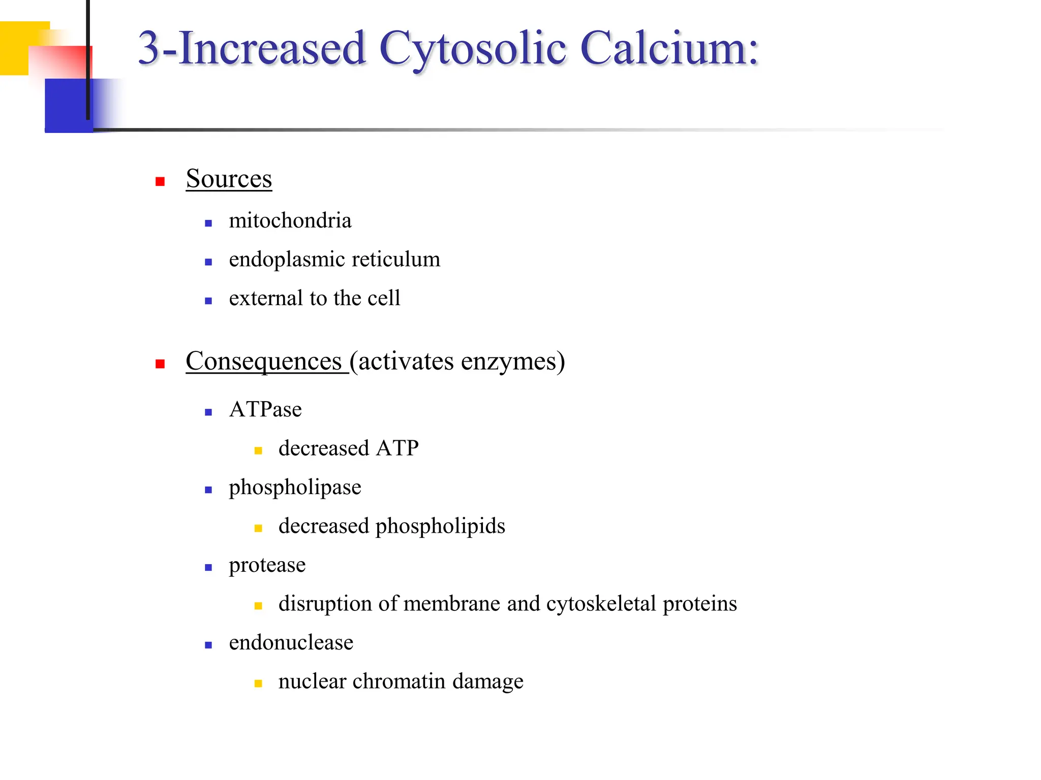 3-Increased Cytosolic Calcium:
 Sources
 mitochondria
 endoplasmic reticulum
 external to the cell
 Consequences (activates enzymes)
 ATPase
 decreased ATP
 phospholipase
 decreased phospholipids
 protease
 disruption of membrane and cytoskeletal proteins
 endonuclease
 nuclear chromatin damage
 