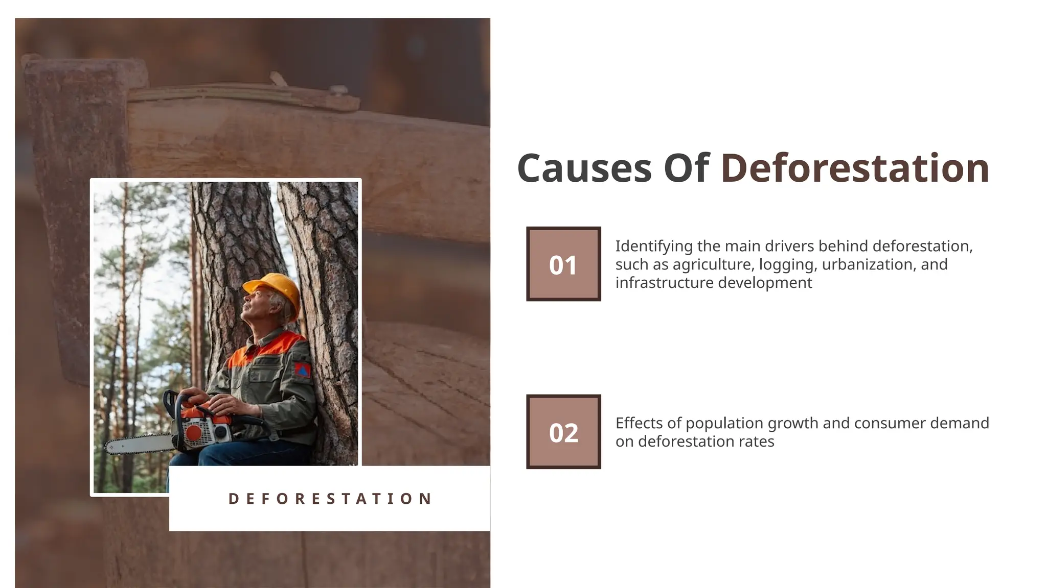 703588-Deforestation PowerPoint Templates Free Download.pptx