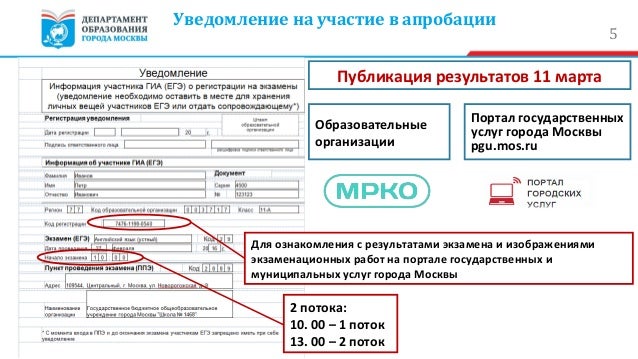 Отмечать что то в бланке. Код регистрации из уведомления егэ. Код регистрации егэ. Код регистрации из уведомления егэ. Код регистрации егэ.