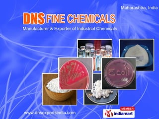 Maharashtra, India Manufacturer & Exporter of Industrial Chemicals 
