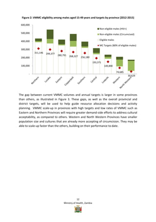 Vmmc Work Plan Example Zambia VMMC Operational plan | PDF