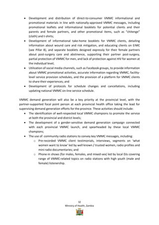 Vmmc Work Plan Example Zambia VMMC Operational plan | PDF