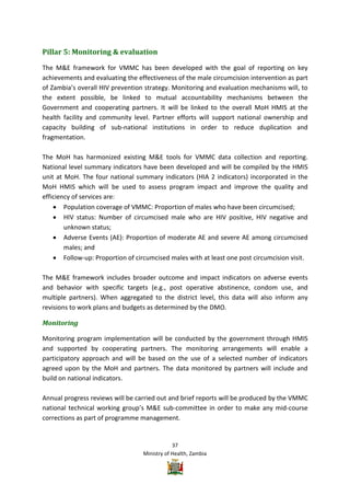 Vmmc Work Plan Example Zambia VMMC Operational plan | PDF
