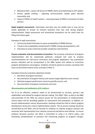 Vmmc Work Plan Example Zambia VMMC Operational plan | PDF