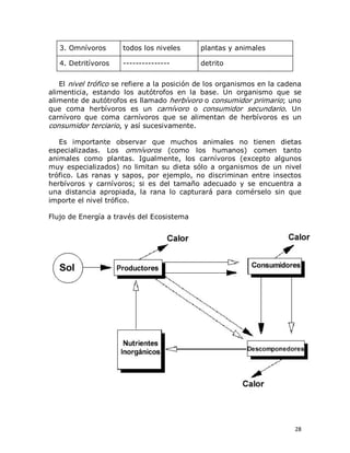 3. Omnívoros 

todos los niveles 

plantas y animales 

4. Detritívoros 

­­­­­­­­­­­­­­­ 

detrito 

El nivel trófico se refiere a la posición de los organismos en la cadena 
alimenticia,  estando  los  autótrofos  en  la  base.  Un  organismo  que  se 
alimente de autótrofos es llamado herbívoro o consumidor primario; uno 
que  coma  herbívoros  es  un  carnívoro  o  consumidor  secundario.  Un 
carnívoro  que  coma  carnívoros  que  se  alimentan  de  herbívoros  es  un 
consumidor terciario, y así sucesivamente. 
Es  importante  observar  que  muchos  animales  no  tienen  dietas 
especializadas.  Los  omnívoros  (como  los  humanos)  comen  tanto 
animales  como  plantas.  Igualmente,  los  carnívoros  (excepto  algunos 
muy  especializados)  no  limitan  su  dieta  sólo  a  organismos  de  un  nivel 
trófico.  Las  ranas  y  sapos,  por  ejemplo,  no  discriminan  entre  insectos 
herbívoros  y  carnívoros;  si  es  del  tamaño  adecuado  y  se  encuentra  a 
una  distancia  apropiada,  la  rana  lo  capturará  para  comérselo  sin  que 
importe el nivel trófico. 
Flujo de Energía a través del Ecosistema

28 

 