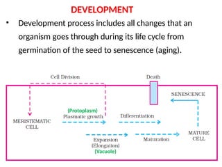 Comprehensive Overview of Plant Growth and Development Processes | PPTX