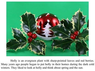 Holly is an evergreen plant with sharp-pointed leaves and red berries.
Many years ago people began to put holly in their homes during the dark cold
winters. They liked to look at holly and think about spring and the sun.
 