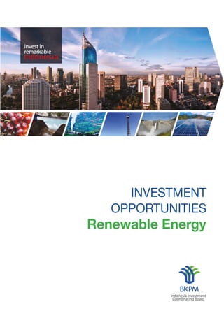 INVESTMENT
OPPORTUNITIES
Renewable Energy
 