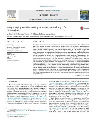 Fisheries Research 161 (2015) 1–7
Contents lists available at ScienceDirect
Fisheries Research
journal homepage: www.elsevier.com/locate/fishres
X-ray imaging as a time-saving, non-invasive technique for
diet analysis
Melanie C. Beckmann∗
, James F. Gilliam, R. Brian Langerhans
Department of Biological Sciences and W.M. Keck Center for Behavioral Biology, North Carolina State University, Raleigh, NC 27695-7617, USA
a r t i c l e i n f o
Article history:
Received 4 February 2014
Received in revised form 20 May 2014
Accepted 25 May 2014
Handling Editor George A. Rose
Keywords:
Dietary patterns
Digital radiography
Fish
Nonlethal
Stomach-content analysis
a b s t r a c t
Dietary patterns of animals have a long-recognized importance in ecology and evolution, with numerous
and diverse applications. While many methods of diet assessment exist, the most common method of
direct diet examination for most small vertebrates is stomach-content analysis, using labor-intensive
surgical removal of the gut following death. Methods that can reduce the time required to collect diet
information without necessarily sacriﬁcing specimens could prove invaluable for a range of applications.
We evaluated digital X-ray imaging as a non-invasive method for examination of stomach contents of
small ﬁshes. Based on both a feeding experiment and examination of ﬁeld-collected preserved specimens,
we found that digital radiography consistently revealed the presence of moderate- to high-density prey
items in the stomach, such as small arthropods. Moreover, X-ray imaging allowed for rapid identiﬁcation
of some particular prey items such as detritus, dipteran larvae, ostracods, hard-shelled molluscs, and small
ﬁsh. However, this method failed to detect some low-density prey items present in some stomachs, and
could not be used for precise taxonomic identiﬁcations in most cases. Overall, we found that digital X-ray
images can be quickly acquired from anesthetized or preserved animals, permit rapid identiﬁcation of
certain prey items, and facilitate digital data archives. Future studies that employ this method should ﬁrst
“ground-truth” the radiological signatures of prey items observed within a given study using stomach-
content analysis, which then permits rapid data collection strictly using X-ray images. This method can
provide information useful for determining the inclusion of certain prey items in diets, even quantifying
particular taxonomic groups of prey (% occurrence, % by number). Thus our results indicate that for certain
study goals, X-ray radiography may provide a time reducing, non-invasive technique for diet analysis of
small vertebrates.
Published by Elsevier B.V.
1. Introduction
The measurement and understanding of dietary patterns in
animals has central importance in ecology, evolutionary biol-
ogy, conservation, and management. Diet analysis comprises a
long-standing tool for addressing a range of questions, such as
community assembly, trophic relationships among species, habitat
use, management of threatened, game, or commercially harvested
species, and resource competition’s role in driving major ecolog-
ical and evolutionary patterns (e.g. Bolnick et al., 2003; Collar
et al., 2009; Morin, 2011; Odum, 1983; Polis and Winemiller, 1996;
Schluter, 2000; Schoener, 1971). A number of methods exist for
assessing animal diets, such as visual observations of feeding, mor-
phological and molecular identiﬁcation of prey taxa in feces and
∗ Corresponding author. Tel.: +1 919 515 3514.
E-mail addresses: mcbeckma@ncsu.edu (M.C. Beckmann), langerhans@ncsu.edu
(R. Brian Langerhans).
stomachs, stable isotope analysis, and lipid analysis (e.g. Hyslop,
1980; Peterson and Fry, 1987; Valentini et al., 2009). For small ver-
tebrates, especially ﬁshes, amphibians, and reptiles, morphological
examination of stomach contents is the most commonly employed
technique for direct diet analysis. Nonlethal techniques, such as
stomach ﬂushing using tubes or gastric lavage, is sometimes pos-
sible for larger individuals (e.g. Giles, 1980; Light et al., 1983), but
post-mortem dissection represents the most common approach. In
ﬁsheries research and management, stomach dissections are regu-
larly used for the analysis of diet.
Typically, the stomach/intestines are surgically removed from
freshly-killed or preserved specimens, partially digested prey items
extracted, and taxonomic identiﬁcation of prey accomplished using
microscopic examination. Once prey items have been identi-
ﬁed, a range of approaches can be used for statistical analysis
of diet (review of methods are beyond the scope of this paper,
see Cortes, 1997; Hyslop, 1980). This method requires the death
of the specimen and is time and labor intensive, and requires
specialized training to process and identify the contents. Thus,
http://dx.doi.org/10.1016/j.ﬁshres.2014.05.015
0165-7836/Published by Elsevier B.V.
 
