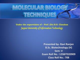 Under the supervision of – Prof. (Dr) R.S. Chauhan
Jaypee University of Information Technology
Presented by- Ravi Ranjan
B.Sc. Biotechnology (H)
Sem: V
Exam Roll No.: 12SBIT020909
Class Roll No.: 708
 