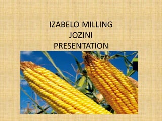 IZABELO MILLING
JOZINI
PRESENTATION
 