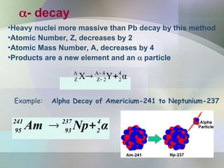 Example: Alpha Decay of Americium-241 to Neptunium-237
α
Np
Am 4
2
237
93
241
95 

- decay
•Heavy nuclei more massive than Pb decay by this method
•Atomic Number, Z, decreases by 2
•Atomic Mass Number, A, decreases by 4
•Products are a new element and an  particle
α
Y
X 4
2
4
A
2
Z
A
Z 
 

 