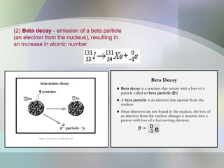 (2) Beta decay - emission of a beta particle
(an electron from the nucleus), resulting in
an increase in atomic number.
 