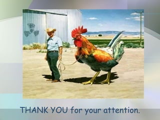 THANK YOU for your attention.
 