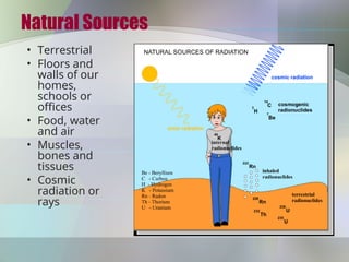 Natural Sources
• Terrestrial
• Floors and
walls of our
homes,
schools or
offices
• Food, water
and air
• Muscles,
bones and
tissues
• Cosmic
radiation or
rays
 