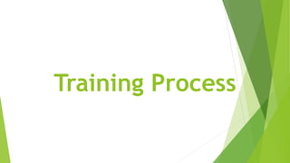 Training Process
 