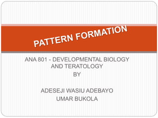 ANA 801 - DEVELOPMENTAL BIOLOGY
AND TERATOLOGY
BY
ADESEJI WASIU ADEBAYO
UMAR BUKOLA
 