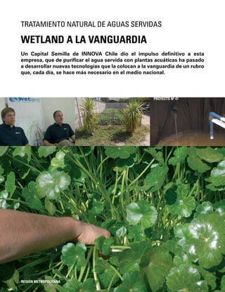 104
Un Capital Semilla de INNOVA Chile dio el impulso deﬁnitivo a esta
empresa, que de puriﬁcar el agua servida con plantas acuáticas ha pasado
a desarrollar nuevas tecnologías que la colocan a la vanguardia de un rubro
que, cada día, se hace más necesario en el medio nacional.
WETLAND A LA VANGUARDIA
TRATAMIENTO NATURAL DE AGUAS SERVIDAS
REGIÓN METROPOLITANA
PROYECTO Nº 47
 