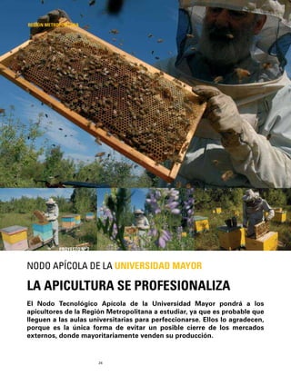 24
El Nodo Tecnológico Apícola de la Universidad Mayor pondrá a los
apicultores de la Región Metropolitana a estudiar, ya que es probable que
lleguen a las aulas universitarias para perfeccionarse. Ellos lo agradecen,
porque es la única forma de evitar un posible cierre de los mercados
externos, donde mayoritariamente venden su producción.
LA APICULTURA SE PROFESIONALIZA
NODO APÍCOLA DE LA UNIVERSIDAD MAYOR
REGIÓN METROPOLITANA
PROYECTO Nº 7
 