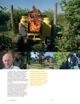 35INNOVA Chile
Considerando que Chile
tiene plantadas unas 200 mil
hectáreas de uva de vino, si
todos los viñedos usaran la
ecológica tecnología TPC,
podrían reducirse los costos
operacionales en unos 84
millones de dólares.
PROYECTO Nº 12
un estimulo físico “fácilmente aplicable,
medible y muy barato para poner en
marcha los sistemas de autodefensa de
las plantas”. Considerando que Chile
tiene plantadas unas 200 mil hectáreas
de uva de vino, si todos los viñedos
usaran la ecológica tecnología TPC podría
generarse un ahorro de unos 84 millones
de dólares.
“La verdad es que aún no tenemos claro,
cientíﬁcamente, por qué este método es
tan exitoso”, reconoce Lazo. Lo cierto
es que en el área frutícola aseveran que
se trata de un cambio revolucionario
en el control y tratamiento de las
enfermedades agrícolas, pues evita la
utilización de pesticidas, que si bien son
eﬁcientes en el manejo de plantas hoy
son cuestionados por su toxicidad.
SEXTA REGIÓN
 