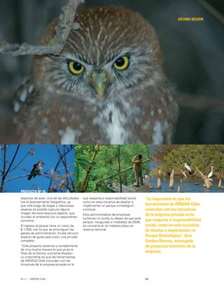 43INNOVA Chile
DÉCIMA REGIÓN
PROYECTO Nº 16
“Lo importante es que las
herramientas de INNOVA Chile
coinciden con las iniciativas
de la empresa privada en lo
que respecta a responsabilidad
social, como en esta iniciativa
de diseñar e implementar un
Parque Ornitológico”, dice
Sandra Álvarez, encargada
de proyectos turísticos de la
empresa.
especies de aves. Una de las diﬁcultades
fue el levantamiento fotográﬁco, ya
que sólo luego de largas y silenciosas
esperas es posible capturar alguna
imagen de esos esquivos pájaros, que
inundan el ambiente con un espontáneo
concierto.
El ingreso al parque tiene un costo de
$ 1.500, con lo que se amortiguan los
gastos de administración. Existe servicio
experto de guías para cubrir una jornada
completa.
“Este proyecto potencia y complementa
de muy buena manera lo que ya es la
Ruta de la Cecina –comenta Álvarez–.
Lo importante es que las herramientas
de INNOVA Chile coinciden con las
iniciativas de la empresa privada en lo
que respecta a responsabilidad social,
como en esta iniciativa de diseñar e
implementar un parque ornitológico”,
concluye.
Esta administradora de empresas
turísticas no oculta su deseo de que este
parque, inaugurado a mediados de 2006,
se convierta en el mediano plazo en
reserva nacional.
 