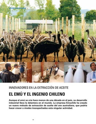 48
Aunque el emú se cría hace menos de una década en el país, su desarrollo
industrial lleva la delantera en el mundo. La empresa Emuchile ha creado
un nuevo método de extracción de aceite del ave australiana, que podría
hacer crecer a niveles insospechados esta singular actividad.
EL EMÚ Y EL INGENIO CHILENO
INNOVADORES EN LA EXTRACCIÓN DE ACEITE
REGIÓN METROPOLITANA
PROYECTO Nº 19
 