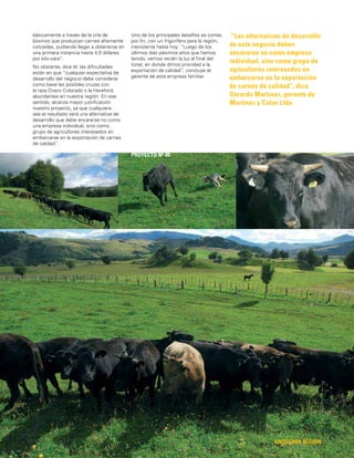 51
“Las alternativas de desarrollo
de este negocio deben
encararse no como empresa
individual, sino como grupo de
agricultores interesados en
embarcarse en la exportación
de carnes de calidad”, dice
Gerardo Martínez, gerente de
Martínez y Calvo Ltda.
UNDÉCIMA REGIÓN
PROYECTO Nº 20
básicamente a través de la cría de
bovinos que produzcan carnes altamente
cotizadas, pudiendo llegar a obtenerse en
una primera instancia hasta 4,5 dólares
por kilo-vara”.
No obstante, dice él, las diﬁcultades
están en que “cualquier expectativa de
desarrollo del negocio debe considerar
como base las posibles cruzas con
la raza Overo Colorado o la Hereford,
abundantes en nuestra región. En ese
sentido, alcanza mayor justiﬁcación
nuestro proyecto, ya que cualquiera
sea el resultado será una alternativa de
desarrollo que debe encararse no como
una empresa individual, sino como
grupo de agricultores interesados en
embarcarse en la exportación de carnes
de calidad”.
Uno de los principales desafíos es contar,
por ﬁn, con un frigorífero para la región,
inexistente hasta hoy. “Luego de los
últimos diez pésimos años que hemos
tenido, vemos recién la luz al ﬁnal del
túnel, en donde dimos prioridad a la
exportación de calidad”, concluye el
gerente de esta empresa familiar.
 