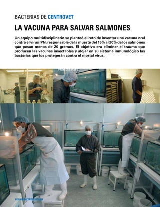 52
Un equipo multidisciplinario se planteó el reto de inventar una vacuna oral
contra el virus IPN, responsable de la muerte del 15% al 20% de los salmones
que pesan menos de 20 gramos. El objetivo era eliminar el trauma que
producen las vacunas inyectables y alojar en su sistema inmunológico las
bacterias que los protegerán contra el mortal virus.
LA VACUNA PARA SALVAR SALMONES
BACTERIAS DE CENTROVET
REGIÓN METROPOLITANA
PROYECTO Nº 21
 