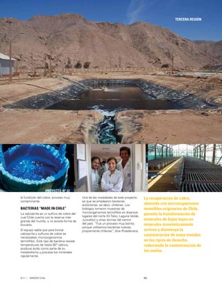 55INNOVA Chile
TERCERA REGIÓN
PROYECTO Nº 22
La recuperación de cobre,
obtenido con microorganismos
termóﬁlos originarios de Chile,
permite la transformación de
minerales de bajas leyes en
minerales económicamente
activos y disminuye la
concentración de estos metales
en los ripios de desecho,
reduciendo la contaminación de
los suelos.
la fundición del cobre, proceso muy
contaminante.
BACTERIAS “MADE IN CHILE”
La calcopirita es un sulfuro de cobre del
cual Chile cuenta con la reserva más
grande del mundo, y no existía forma de
lixiviarlo.
El equipo sabía que para lixiviar
calcopirita y sulfuros de cobre se
necesitaban microorganismos
termóﬁlos. Este tipo de bacteria resiste
temperaturas de hasta 90º celcius,
produce ácido como parte de su
metabolismo y procesa los minerales
rápidamente.
Una de las novedades de este proyecto
es que se emplearon bacterias
autóctonas, es decir, chilenas. Los
biólogos tomaron muestras de
microorganismos termóﬁlos en diversos
lugares del norte (El Tatio, Laguna Verde,
Juncalito) y otras termas del centro
del país. “Fue un proceso muy bonito,
porque utilizamos bacterias nuevas,
propiamente chilenas”, dice Rivadeneira.
 