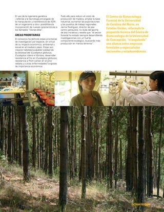 63 OCTAVA REGIÓN
El Centro de Biotecnología
Forestal de la Universidad
de Carolina del Norte, en
Estados Unidos, reformuló la
propuesta técnica del Centro de
Biotecnología de la Universidad
de Concepción, “triangulando”
una alianza entre empresas
forestales y especialistas
nacionales y estadounidenses.
PROYECTO Nº 26
El uso de la ingeniería genética
–referida a la tecnología encargada de
la manipulación y transferencia de ADN
de un organismo a otro– posibilitará la
incorporación de nuevas características a
los llamados “clones élite”.
ÁREAS PRIORITARIAS
El consorcio ha deﬁnido áreas prioritarias
de investigación por especie, en virtud
de su impacto económico, ambiental y
social en el mediano plazo. Estas son:
mejorar habilidad pulpable (calidad de
la celulosa) del Eucalyptus globulus,
Eucalyptus nitens e híbridos; desarrollar
resistencia al frío en Eucalyptus globulus;
resistencia a Pitch canker en el pino
radiata y a otras enfermedades fungosas
de importancia económica.
Todo ello para reducir el costo de
producción de madera, ampliar la base
industrial, aumentar las exportaciones
y los puestos de trabajo regionales.
Jaime Rodríguez, director de ese
centro penquista, no duda del aporte
de esa iniciativa y resalta que “el sector
forestal ha estado siempre desarrollando
investigaciones con un fuerte
componente ecológico, buscando más
producción en menos terrenos”.
 