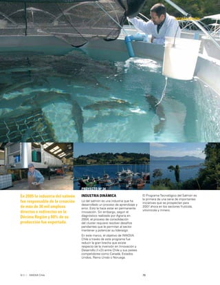 79INNOVA Chile
DÉCIMA REGIÓN
PROYECTO Nº 34
En 2005 la industria del salmón
fue responsable de la creación
de más de 36 mil empleos
directos e indirectos en la
Décima Región y 80% de su
producción fue exportada.
INDUSTRIA DINÁMICA
La del salmón es una industria que ha
desarrollado un proceso de aprendizaje y
error. Esto la hace estar en permanente
innovación. Sin embargo, según el
diagnóstico realizado por Agraria en
2004, el proceso de consolidación
del cluster requiere resolver desafíos
pendientes que le permitan al sector
mantener y potenciar su liderazgo.
En este marco, el objetivo de INNOVA
Chile a través de este programa fue
reducir la gran brecha que existe
respecto de la inversión en Innovación y
Desarrollo (I+D) entre Chile y sus países
competidores como Canadá, Estados
Unidos, Reino Unido o Noruega.
El Programa Tecnológico del Salmón es
la primera de una serie de importantes
iniciativas que se prospectan para
2007 ahora en los sectores frutícola,
vitivinícola y minero.
 