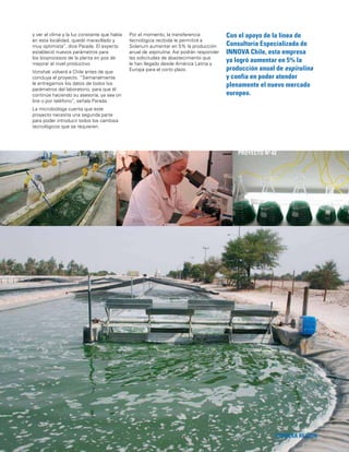 95
Con el apoyo de la línea de
Consultoría Especializada de
INNOVA Chile, esta empresa
ya logró aumentar en 5% la
producción anual de espirulina
y confía en poder atender
plenamente el nuevo mercado
europeo.
PRIMERA REGIÓN
PROYECTO Nº 42
y ver el clima y la luz constante que había
en esta localidad, quedó maravillado y
muy optimista”, dice Parada. El experto
estableció nuevos parámetros para
los bioprocesos de la planta en pos de
mejorar el nivel productivo.
Vonshak volverá a Chile antes de que
concluya el proyecto. “Semanalmente
le entregamos los datos de todos los
parámetros del laboratorio, para que él
continúe haciendo su asesoría, ya sea on
line o por teléfono”, señala Parada.
La microbióloga cuenta que este
proyecto necesita una segunda parte
para poder introducir todos los cambios
tecnológicos que se requieren.
Por el momento, la transferencia
tecnológica recibida le permitirá a
Solarium aumentar en 5% la producción
anual de espirulina. Así podrán responder
las solicitudes de abastecimiento que
le han llegado desde América Latina y
Europa para el corto plazo.
 