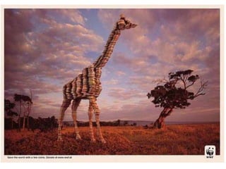 70 creative advertisements