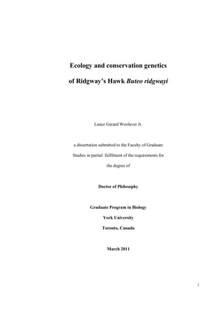 i
Ecology and conservation genetics
of Ridgway’s Hawk Buteo ridgwayi
Lance Gerard Woolaver Jr.
a dissertation submitted to the Faculty of Graduate
Studies in partial fulfilment of the requirements for
the degree of
Doctor of Philosophy
Graduate Program in Biology
York University
Toronto, Canada
March 2011
 