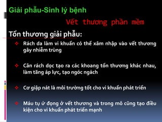 Vết thương phần mềm
Tổn thương giải phẫu:
 Rách da làm vi khuẩn có thể xâm nhập vào vết thương
gây nhiễm trùng
 Cân rách dọc tạo ra các khoang tổn thương khác nhau,
làm tăng áp lực, tạo ngóc ngách
 Cơ giập nát là môi trường tốt cho vi khuẩn phát triển
 Máu tụ ứ đọng ở vết thương và trong mô cũng tạo điều
kiện cho vi khuẩn phát triển mạnh
Giải phẫu-Sinh lý bệnh
 