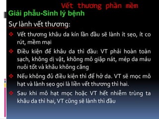 Vết thương phần mềm
Sự lành vết thương:
 Vết thương khâu da kín lần đầu sẽ lành ít sẹo, ít co
rút, mềm mại
 Điều kiện để khâu da thì đầu: VT phải hoàn toàn
sạch, không dị vật, không mô giập nát, mép da máu
nuôi tốt và khâu không căng
 Nếu không đủ điều kiện thì để hở da. VT sẽ mọc mô
hạt và lành sẹo gọi là liền vết thương thì hai.
 Sau khi mô hạt mọc hoặc VT hết nhiễm trùng ta
khâu da thì hai,VT cũng sẽ lành thì đầu
Giải phẫu-Sinh lý bệnh
 