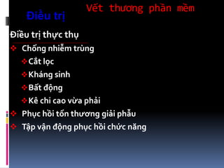 Vết thương phần mềm
Điều trị thực thụ
 Chống nhiễm trùng
Cắt lọc
Kháng sinh
Bất động
Kê chi cao vừa phải
 Phục hồi tổn thương giải phẫu
 Tập vận động phục hồi chức năng
Điều trị
 